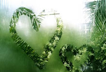 -阿尔艾因攻防火力全开，防守迎挑战