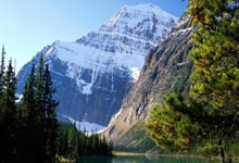 DB彩票-德国队力克日本队，樊振东统治全场