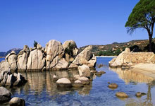 DB gaming-德布劳内美洲杯魔咒：强者的叹息与意大利的召唤