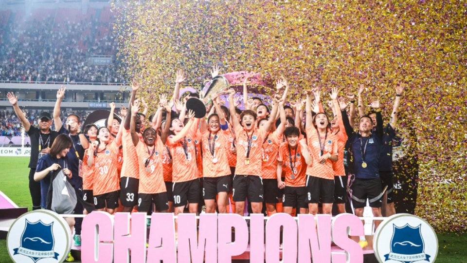 DB游戏-冲刺终点：女足选手拼尽全力的简单介绍